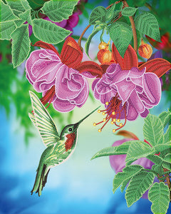 Humming Bird - Crystal Art