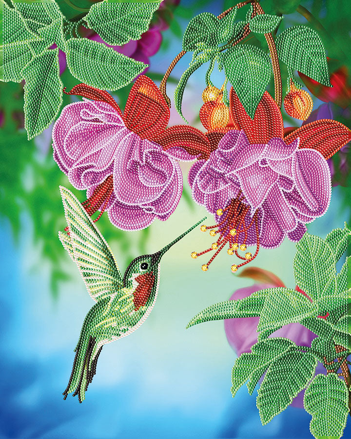 Humming Bird - Crystal Art