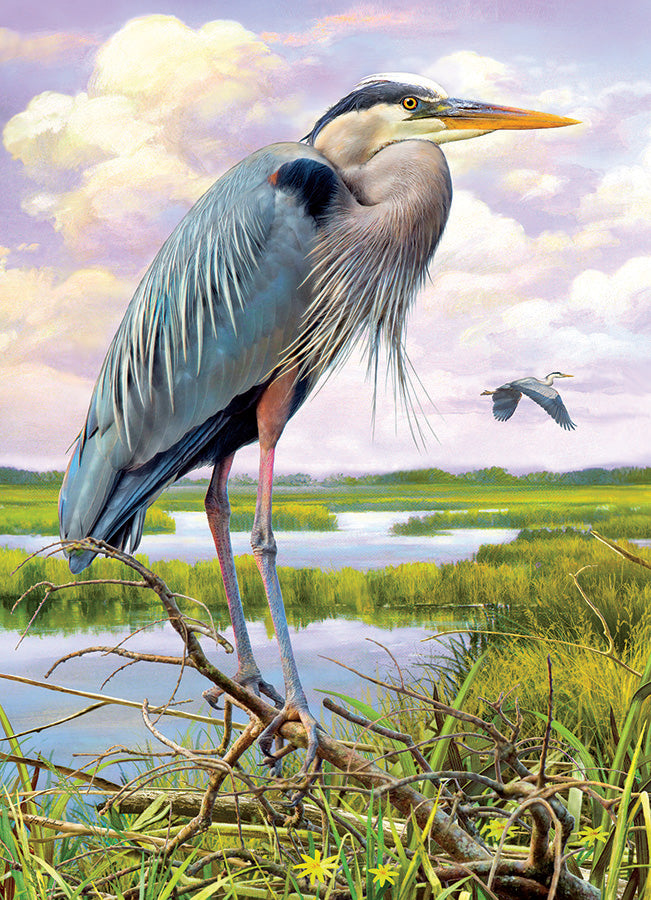 The Heron Puzzle