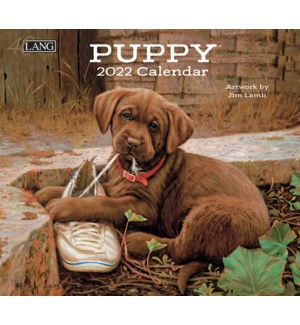 Lange 2022 Wall Calendar