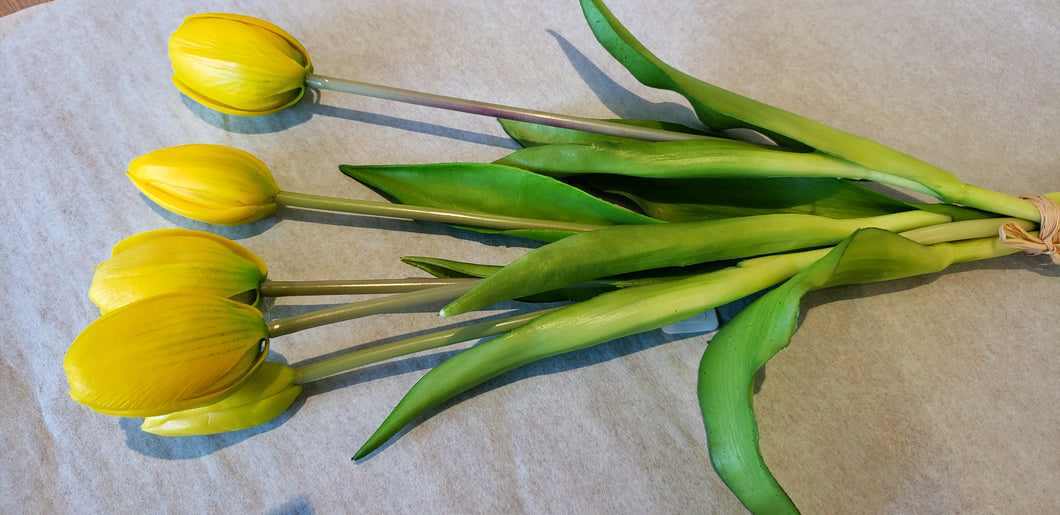 Flowers - Tulips