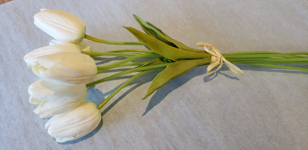 Flowers - Tulips