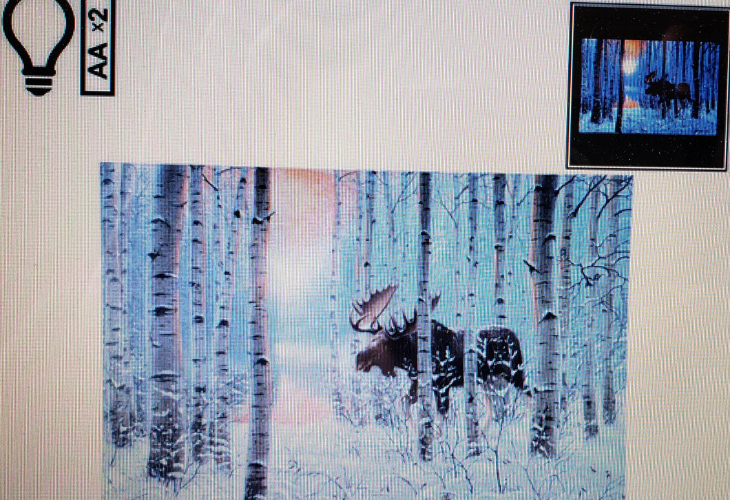 Wall Art - Festive