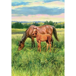 Garden Flag - Horses