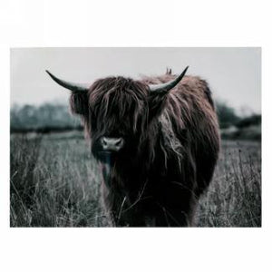 Canvas Art - Bison