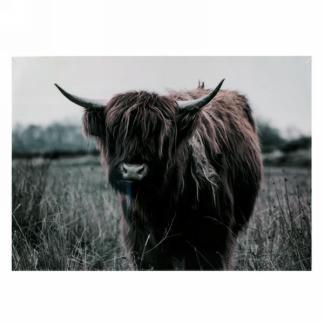 Canvas Art - Bison
