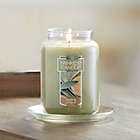 Yankee Candle Sage and Citrus