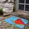 Rug - Indoor/Outdoor