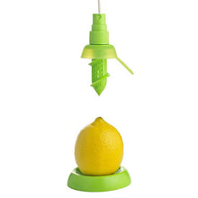Load image into Gallery viewer, Citrus Sprayer - Kitchen
