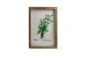 Mint/Rosary Wall Art